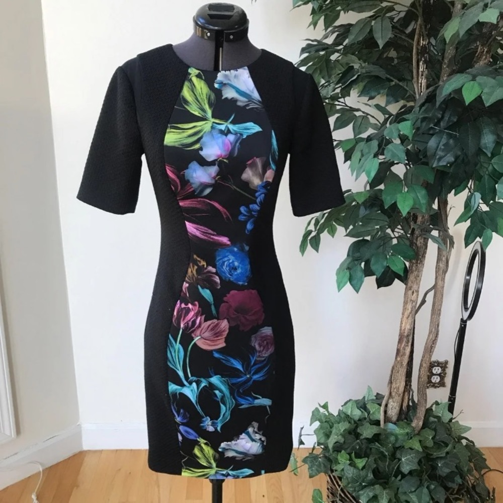 🎉 HOST PICK 🎉 Ted Baker Dress 0